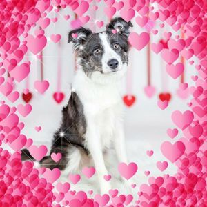 Meet your Posher, Gaile